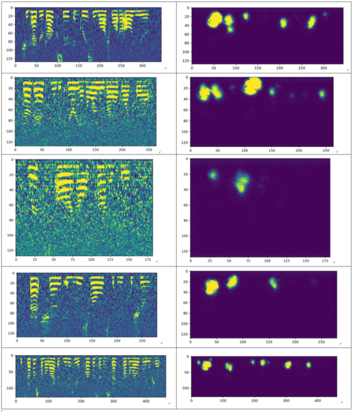 文件:Haolin denoise.png