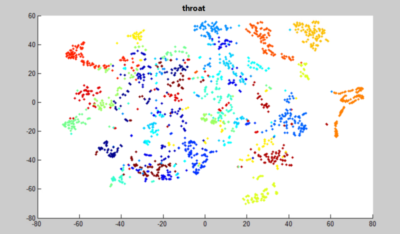 文件:171022 throat.png
